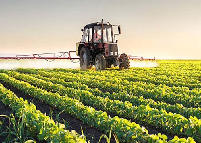 Agriculture Industry