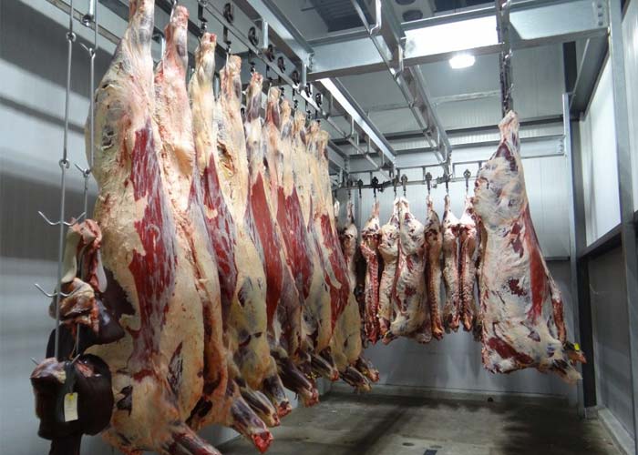 Food Industry Industry